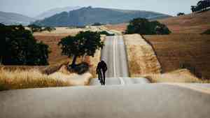 Bicicleta Trek carretera