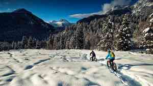 Bicicletas Trek fat bikes